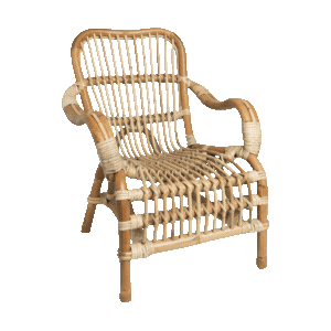 Rotan