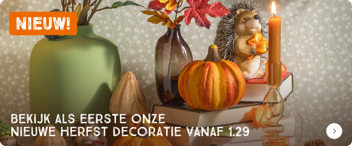 bekijk als eerste onze nieuwe herfstdecoratie