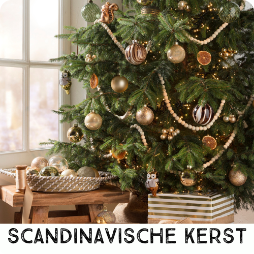 Scandinavisch