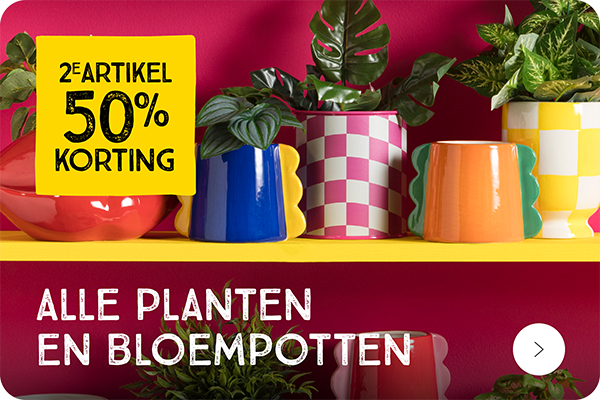 Bloempotten en kunstplanten