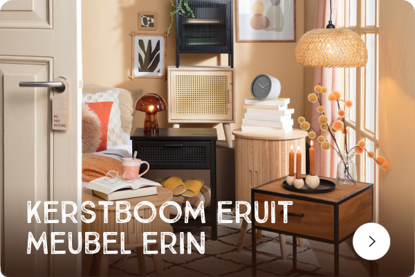 Kerstboom eruit meubel erin