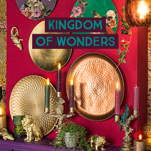 Kingdom of wonders