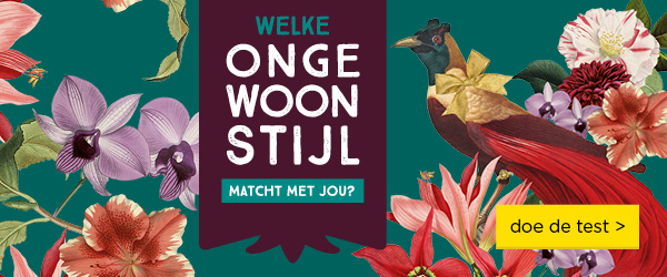 Woonstijltest Banner