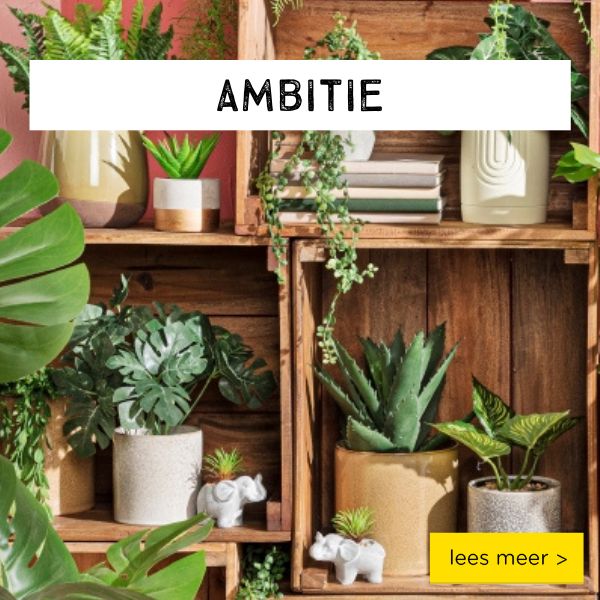 Ambitie
