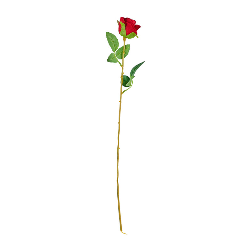 Roos rood - 56 cm Roos rood - 56 cm