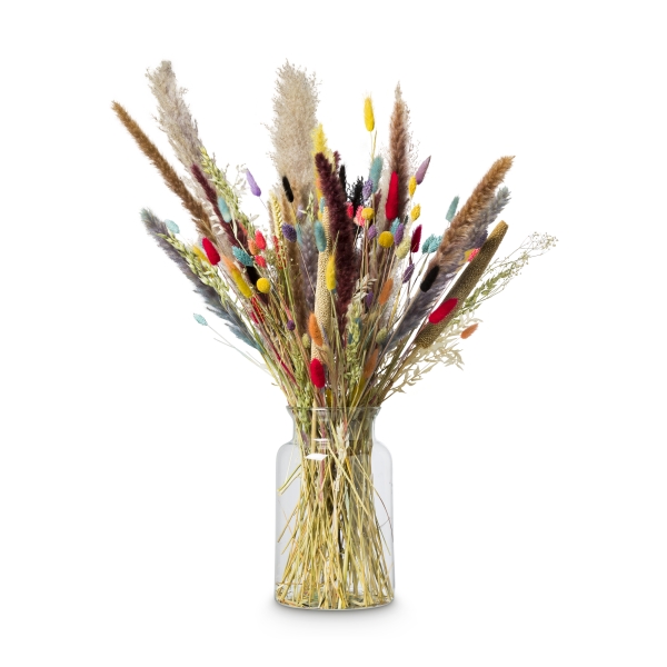 Geselecteerde droogbloemen Geselecteerde droogbloemen