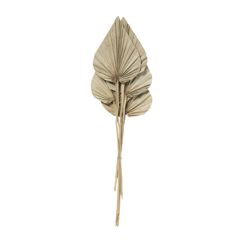 Gedroogde palm bladeren - naturel - set van 5 Gedroogde palm bladeren - naturel - set van 5
