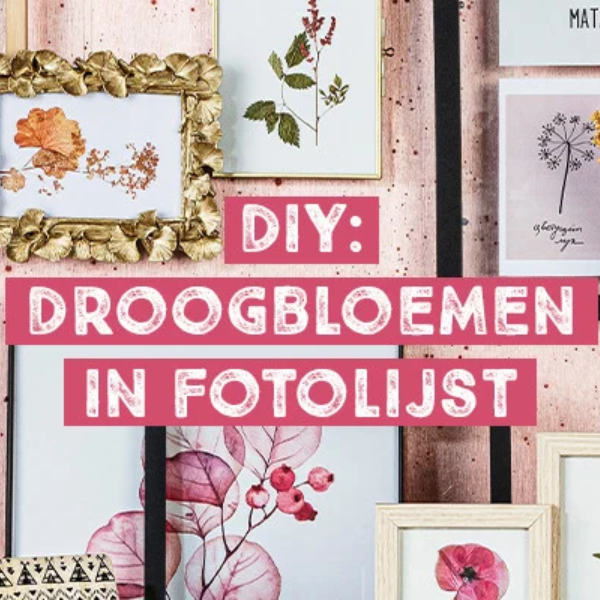 FOTOLIJST MET DROOGBLOEMEN OF BLADEREN