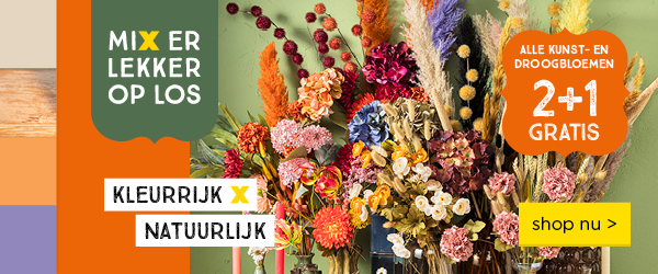 Alle kunst- en droogbloemen 2+1 gratis