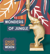 Wonders of jungle