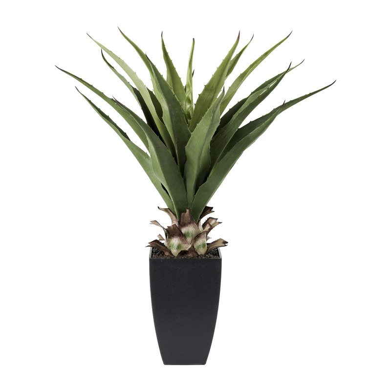 Aloë kunstplant - 75 cm Aloë kunstplant - 75 cm