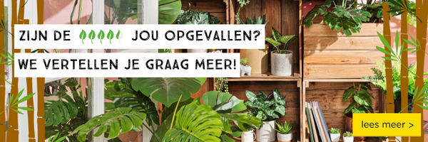 Duurzaamheidsscore