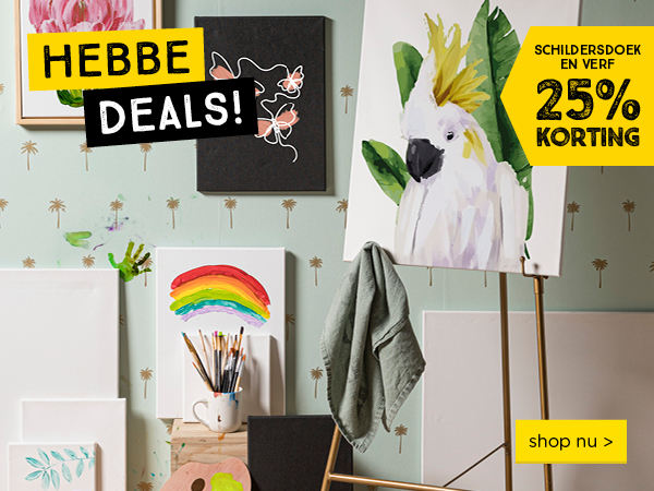 Schildersdoek en verf 25% korting | shop nu