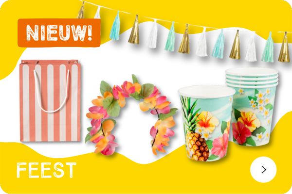 Feest