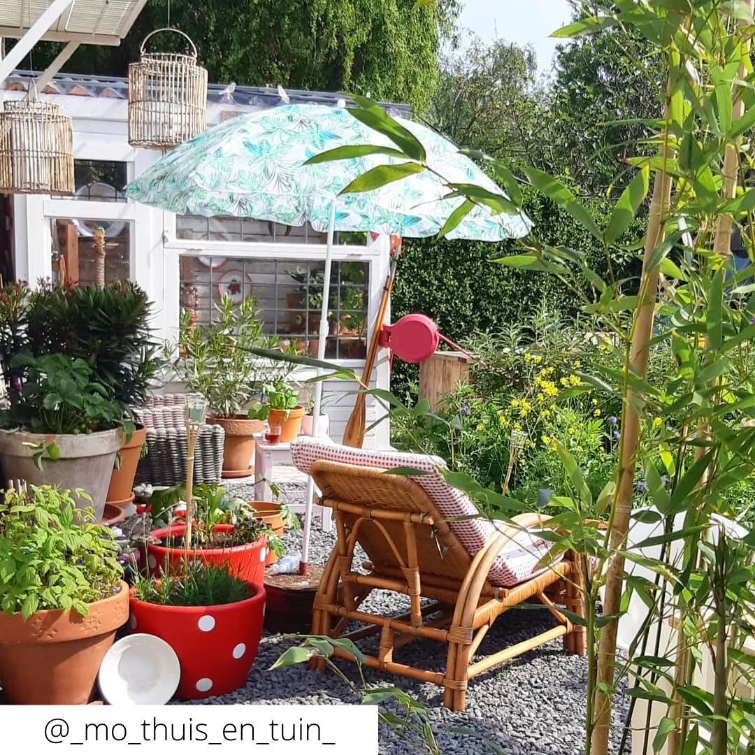 Strandparasol jungle