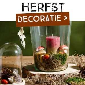 Herfst decoratie