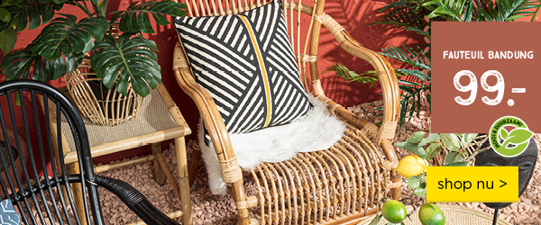 Leve de lente | Rotan fauteuil Bandung 99,- | shop nu