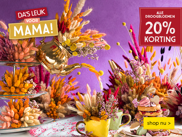 Da's leuk voor mama | Alle droogbloemen 20% korting | shop nu