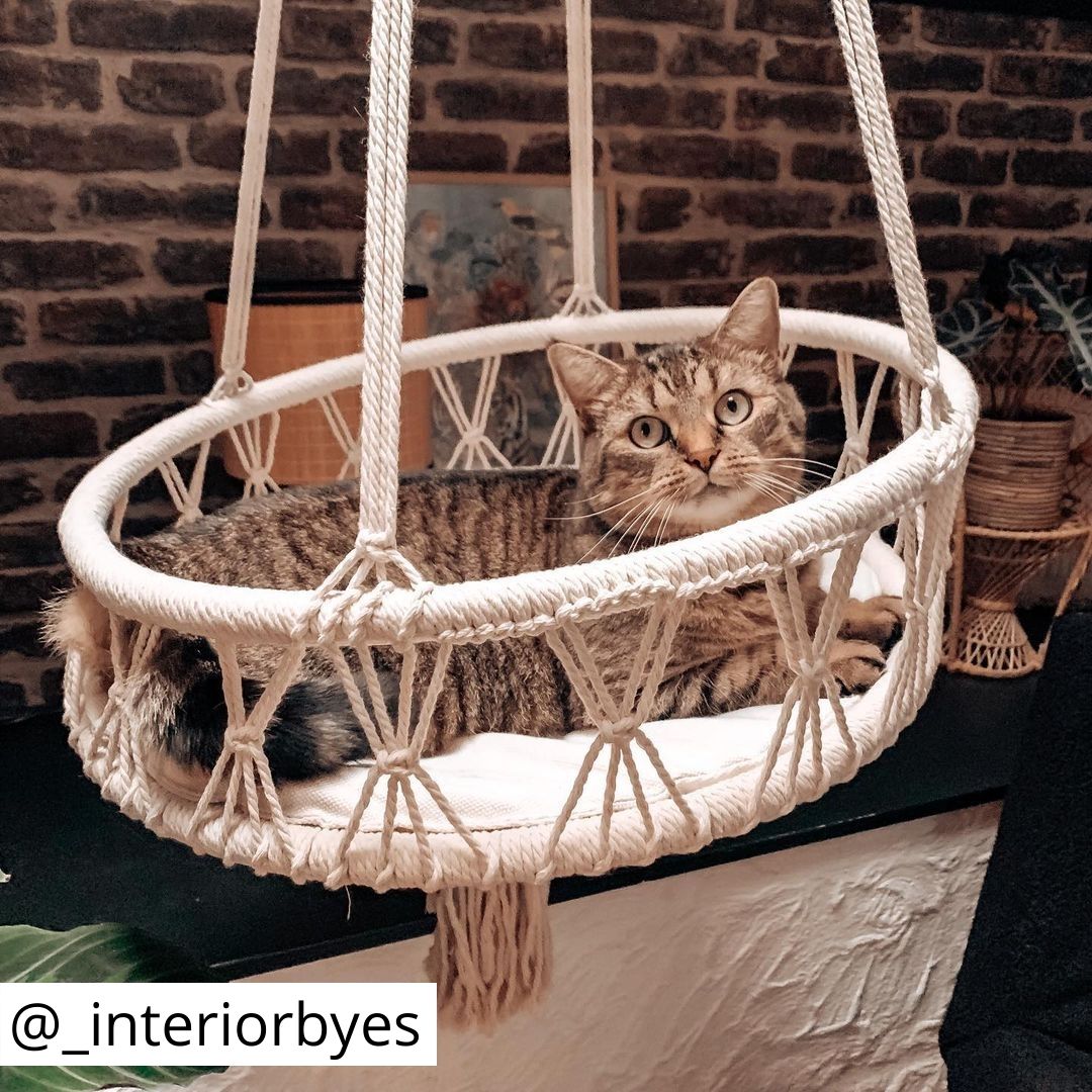 Dieren hangstoel Swing