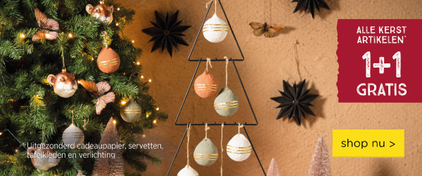 Alle kerst artikelen 1+1 gratis | shop nu