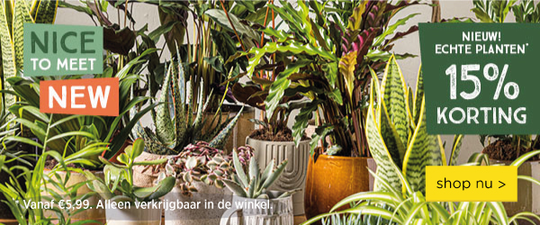 Alle echte planten: 15% korting | shop in winkel