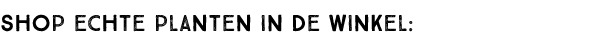 Shop echte planten in de winkel