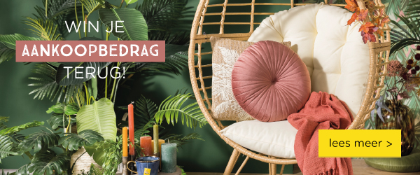 Win je aankoopbedrag terug | lees meer