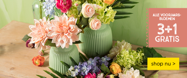 Alle voorjaarsbloemen 3+1 gratis* | *Alle combinaties zijn mogelijk. Goedkoopste artikel is gratis. | shop nu