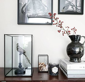 Terrarium | @plientje_vd | shop nu >