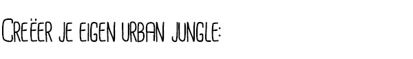 Creëer je eigen urban jungle