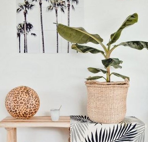 Mand met hengsel zeegras