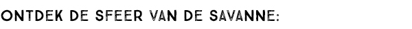 ONTDEK DE SFEER VAN DE SAVANNE: