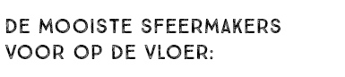 DE MOOISTE SFEERMAKERS VOOR OP DE VLOER:
