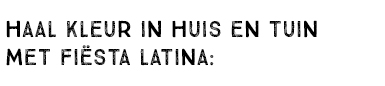 HAAL KLEUR IN HUIS EN TUIN MET FIËSTA LATINA: