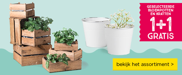 GESELECTEERDE BLOEMPOTTEN EN KRATTEN | 1+1 GRATIS | bekijk het assortiment >