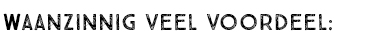 WAANZINNIG VEEL VOORDEEL: