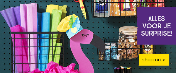 ALLES VOOR JE SURPRISE! | shop nu >