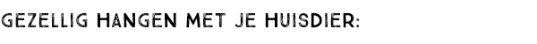 GEZELLIG HANGEN MET JE HUISDIER:
